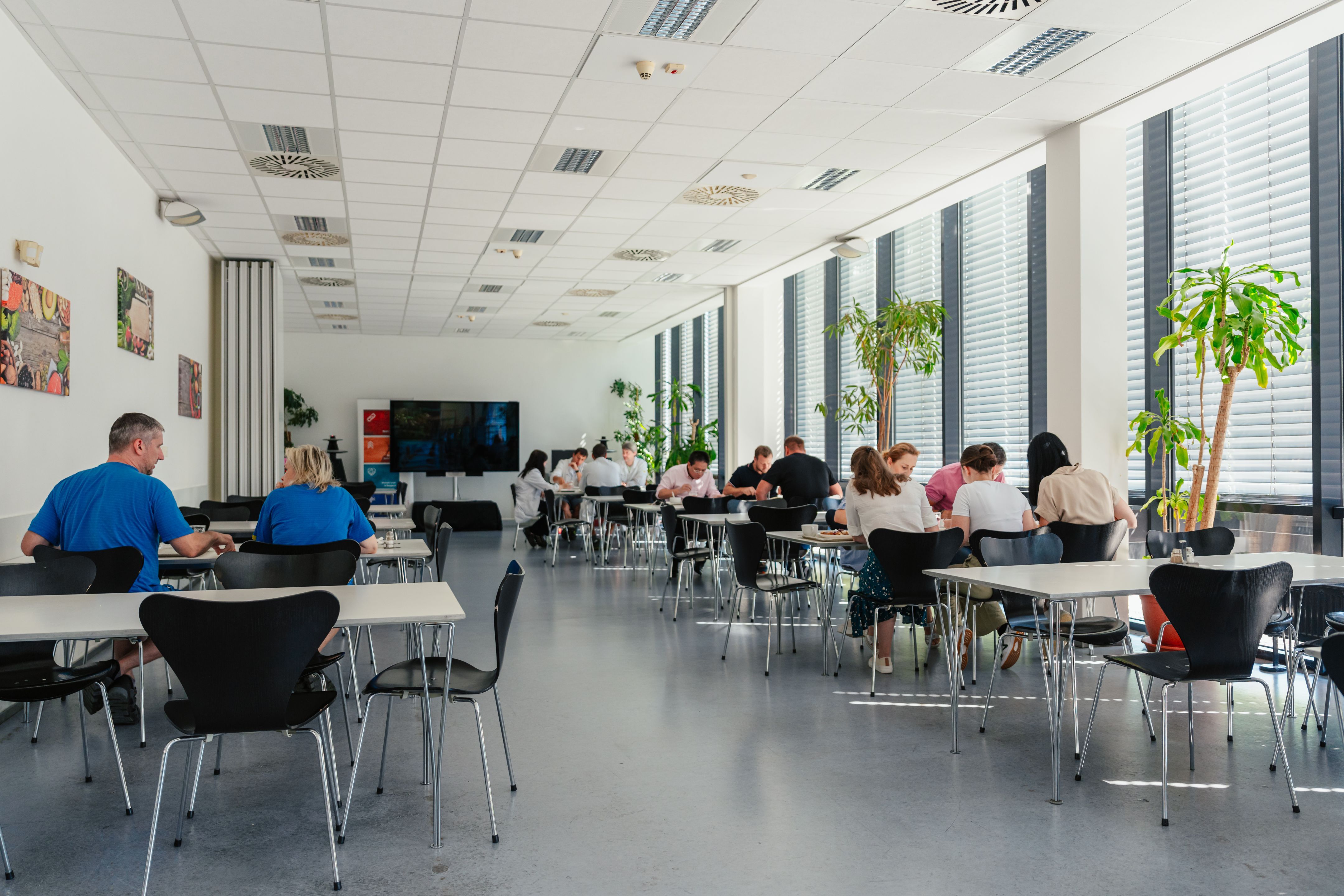 Naše kantýna - malá a přesto vzdušná. Skvělé místo pro naše obědy. 