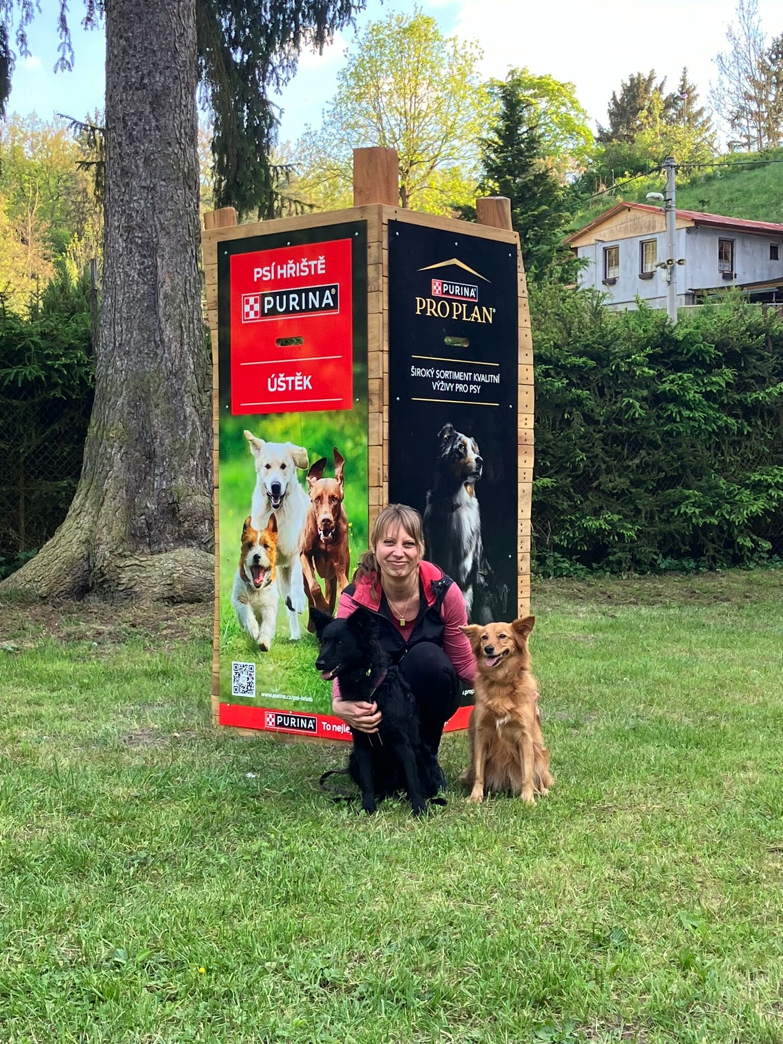 Divize Purina