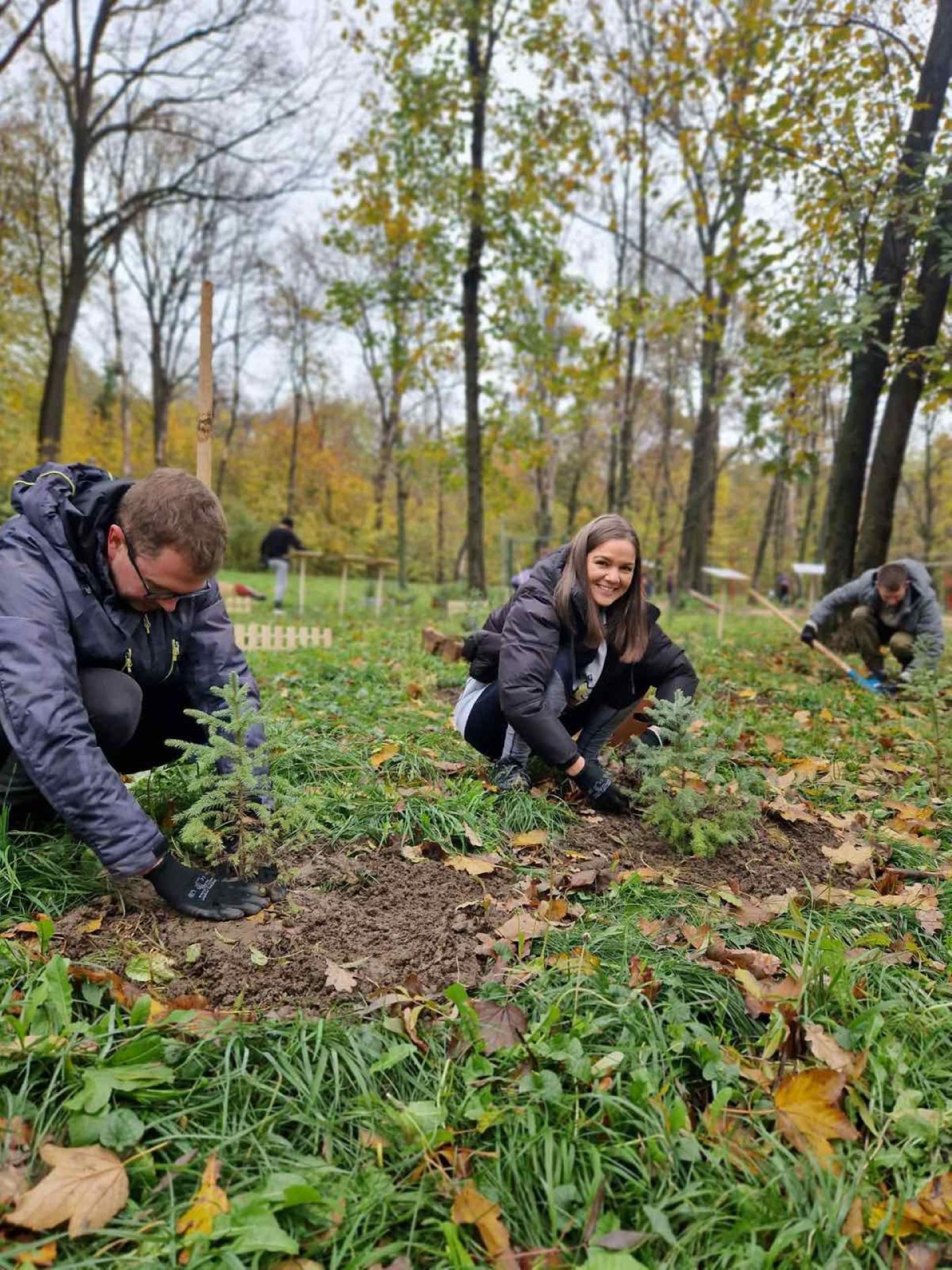 Environment and sustainability 