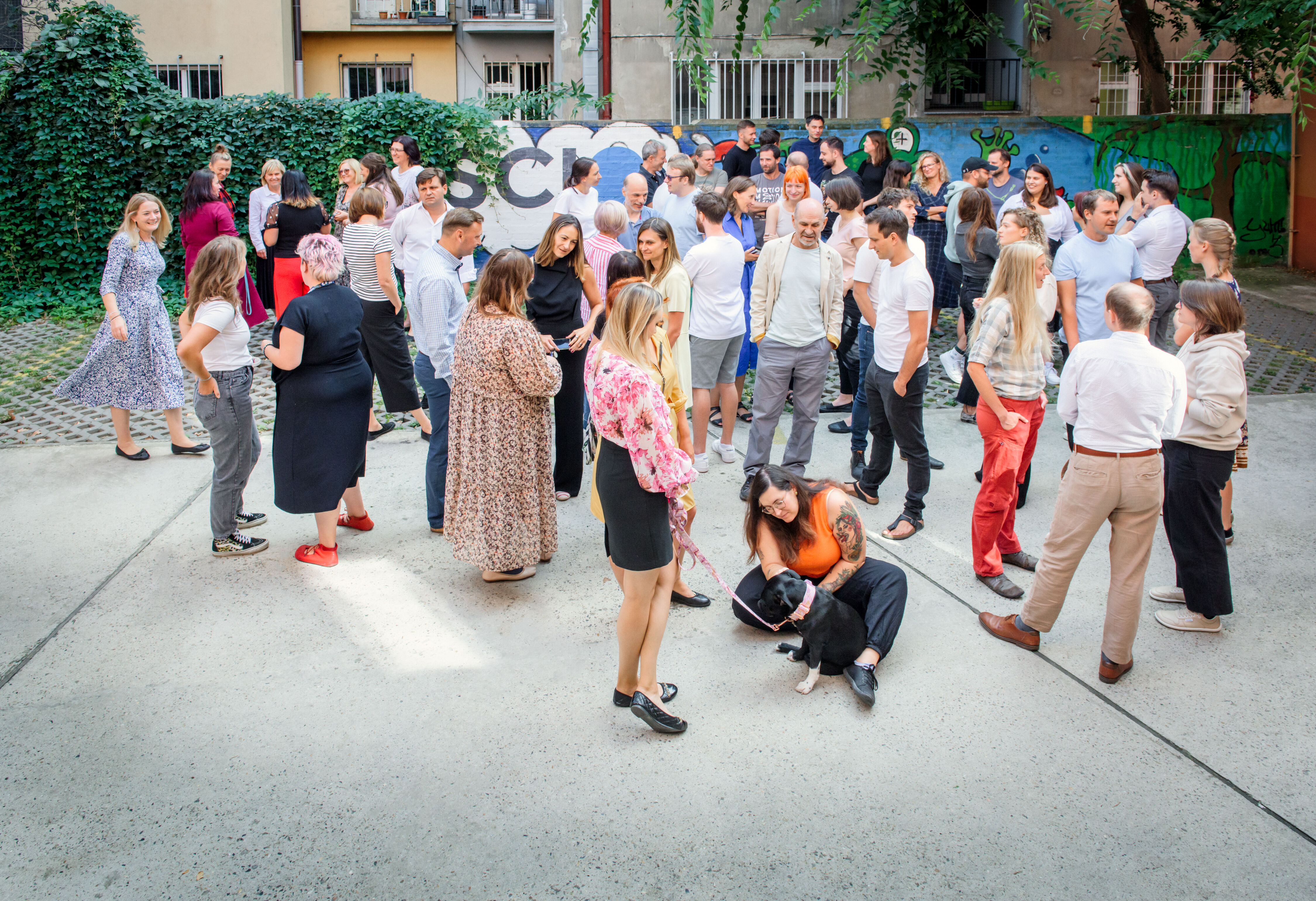 cover