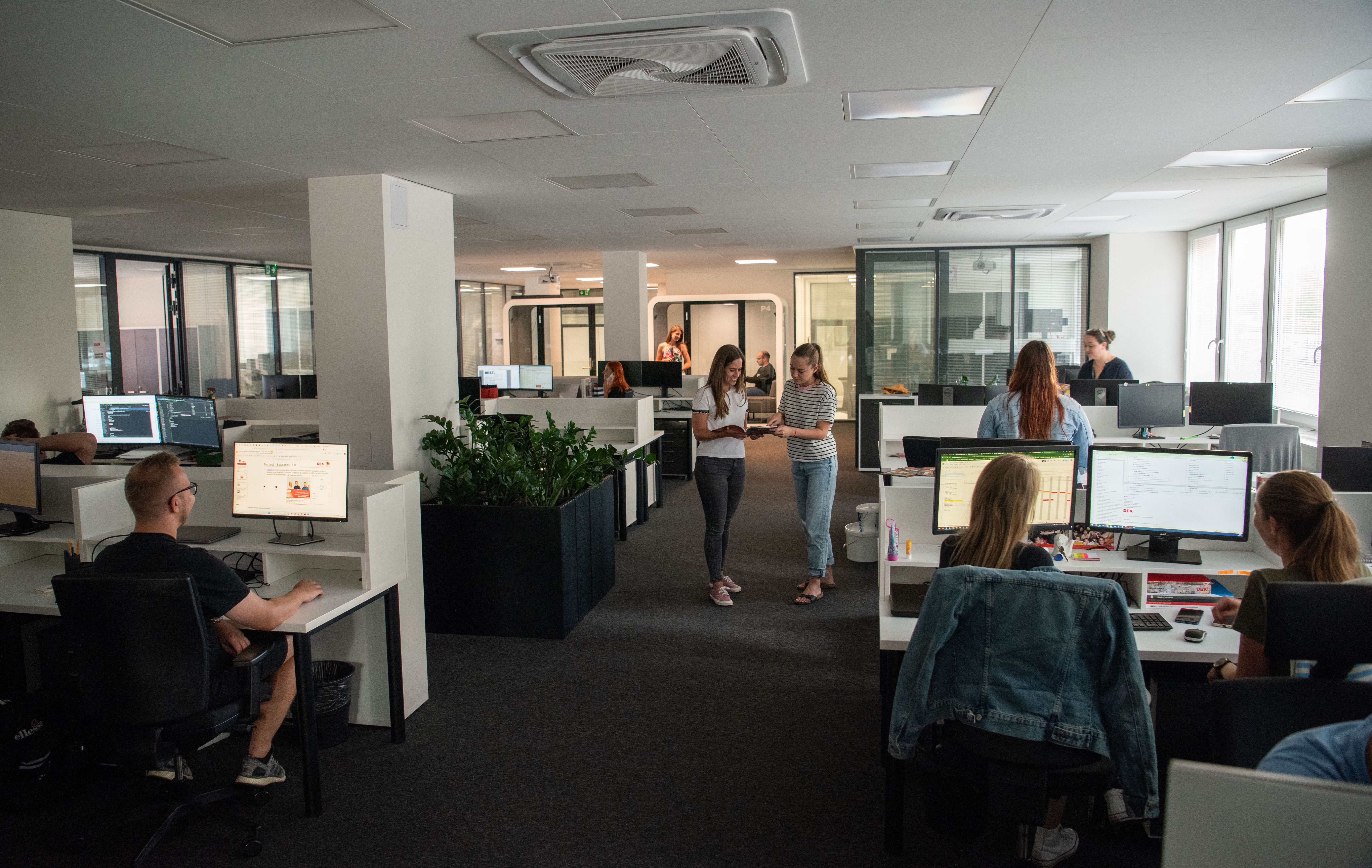 V kanceláři panuje přátelská a uvolněná atmosféra, která podporuje spolupráci i dobrou náladu.
