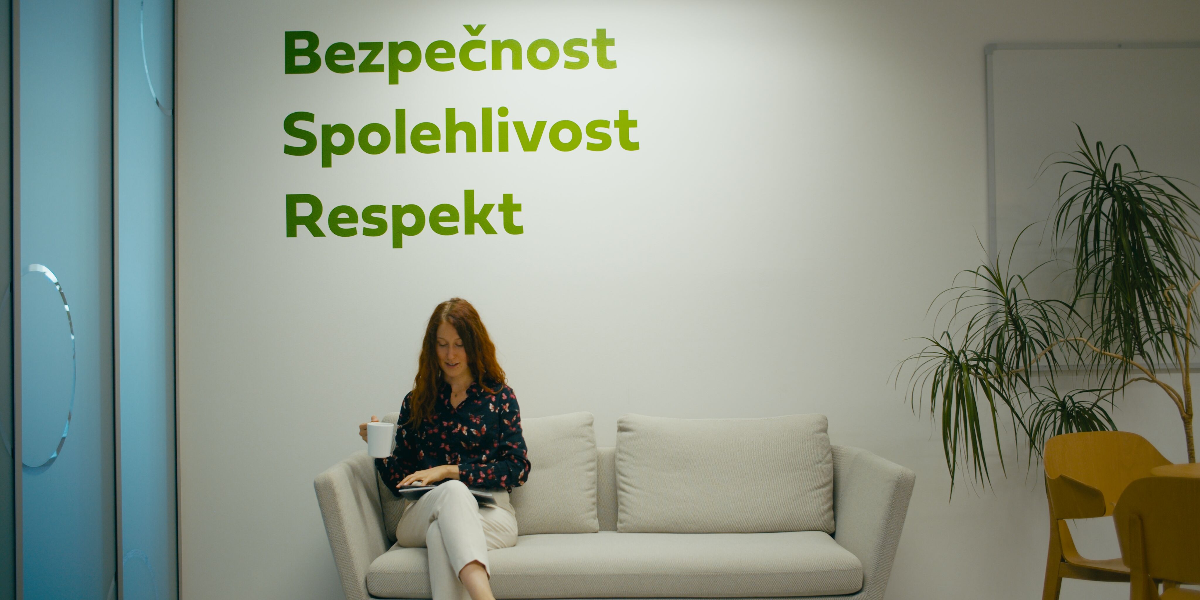 Uplatnění pro lidi bez zkušeností